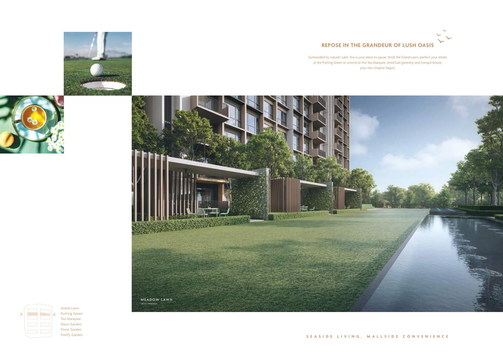 Meadow Lawn